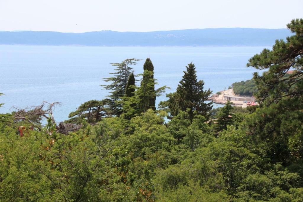 Apartments Mauro Novi Vinodolski Εξωτερικό φωτογραφία